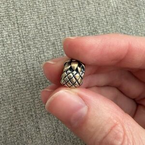 Pandora Gold and Black Bracelet Charm